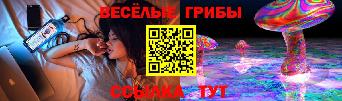Галлюциногенные грибы Psilocybine cubensis Новороссийск