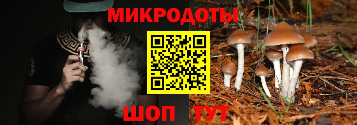 Новороссийск  Галлюциногенные грибы мицелий  Вход с VPN 