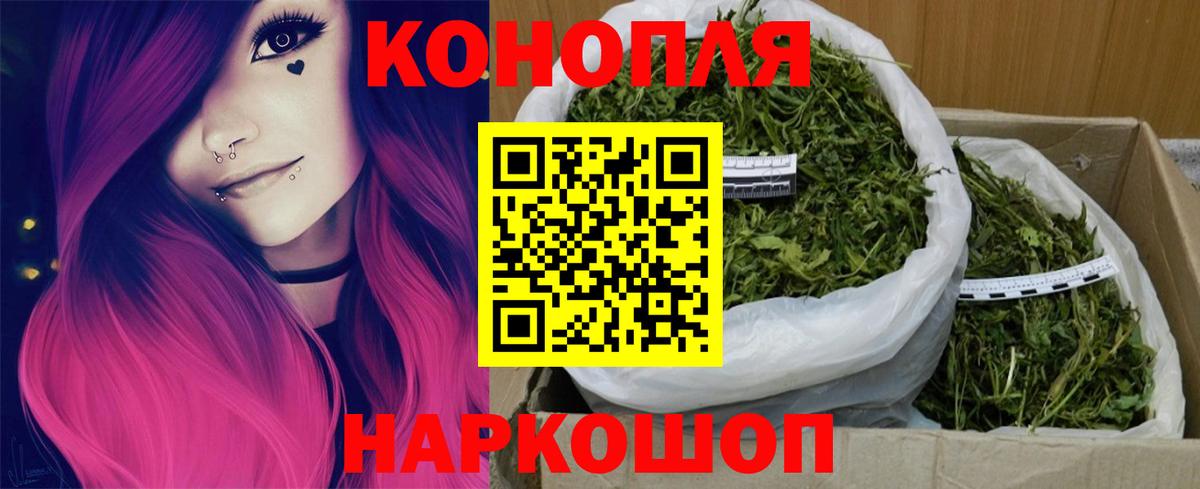 Шишки марихуана гибрид Новороссийск